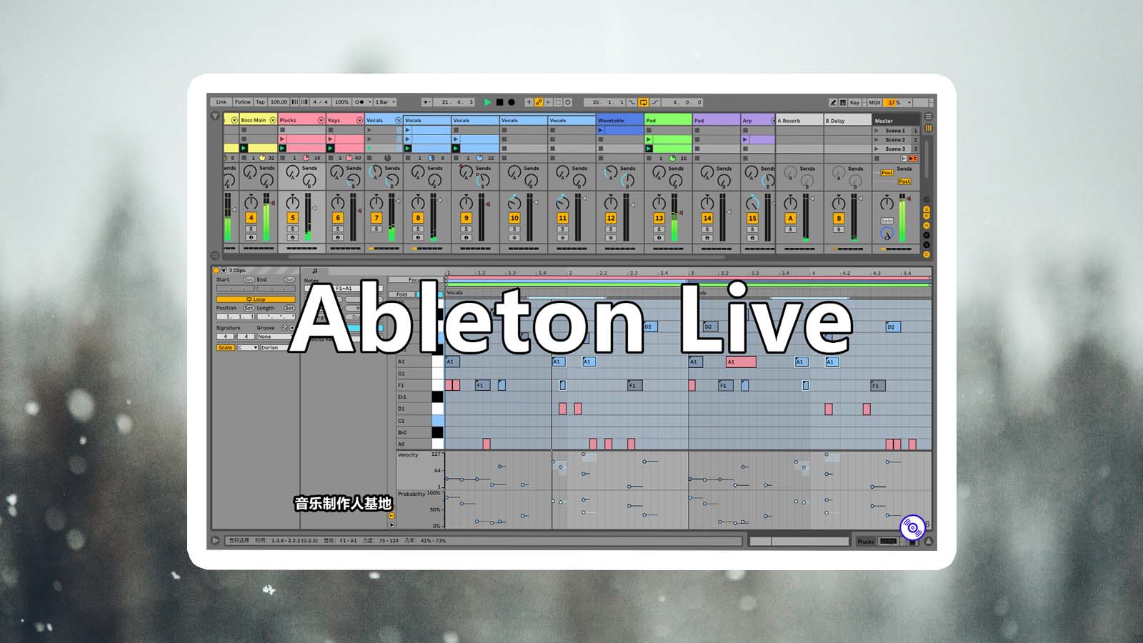 Ableton Live 最新中文版！音乐制作软件Ableton Live Suite 中文版 电音制作宿主软件【Windows/MacOS版】