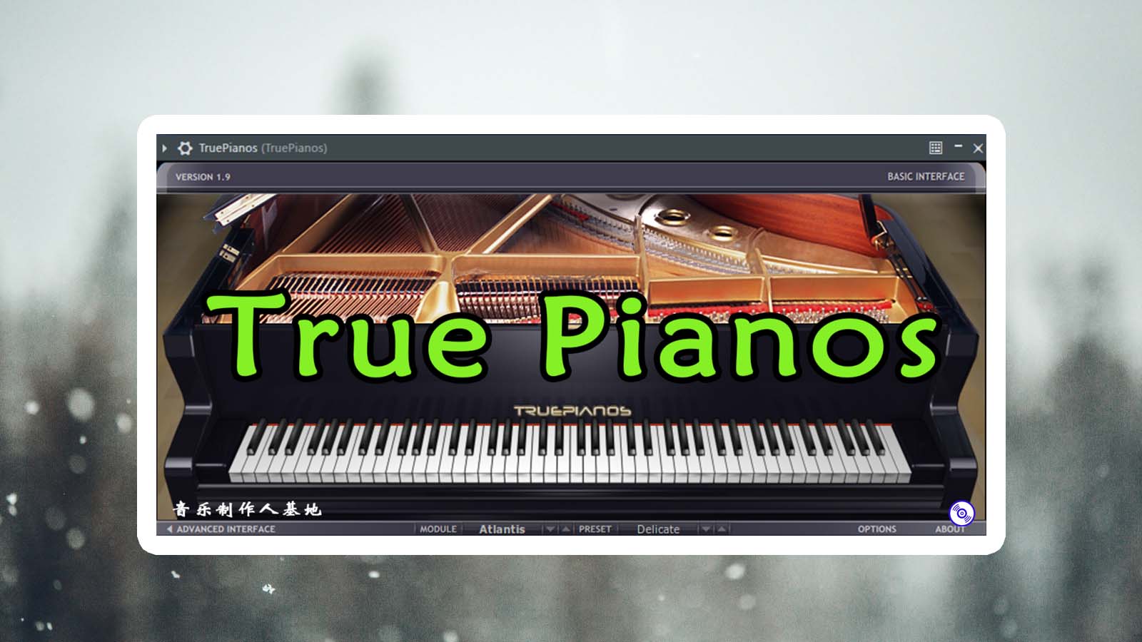 True Piano 钢琴VST插件（编曲必备插件）真实钢琴音质VST独立插件 True Pianos